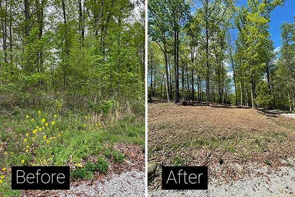 Bush and Brush Hogging Services