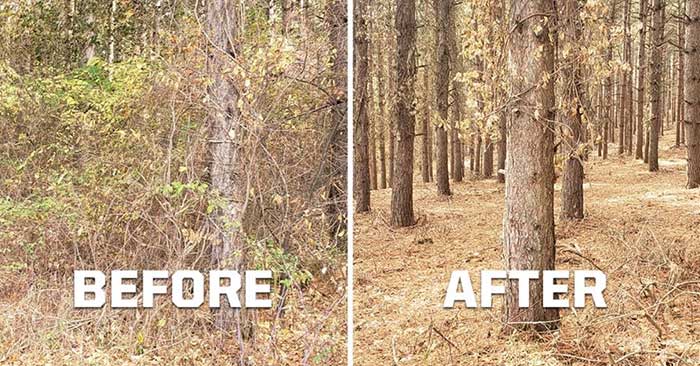 Forestry Mowing Services