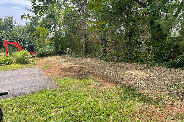 Vegetation Removal Services